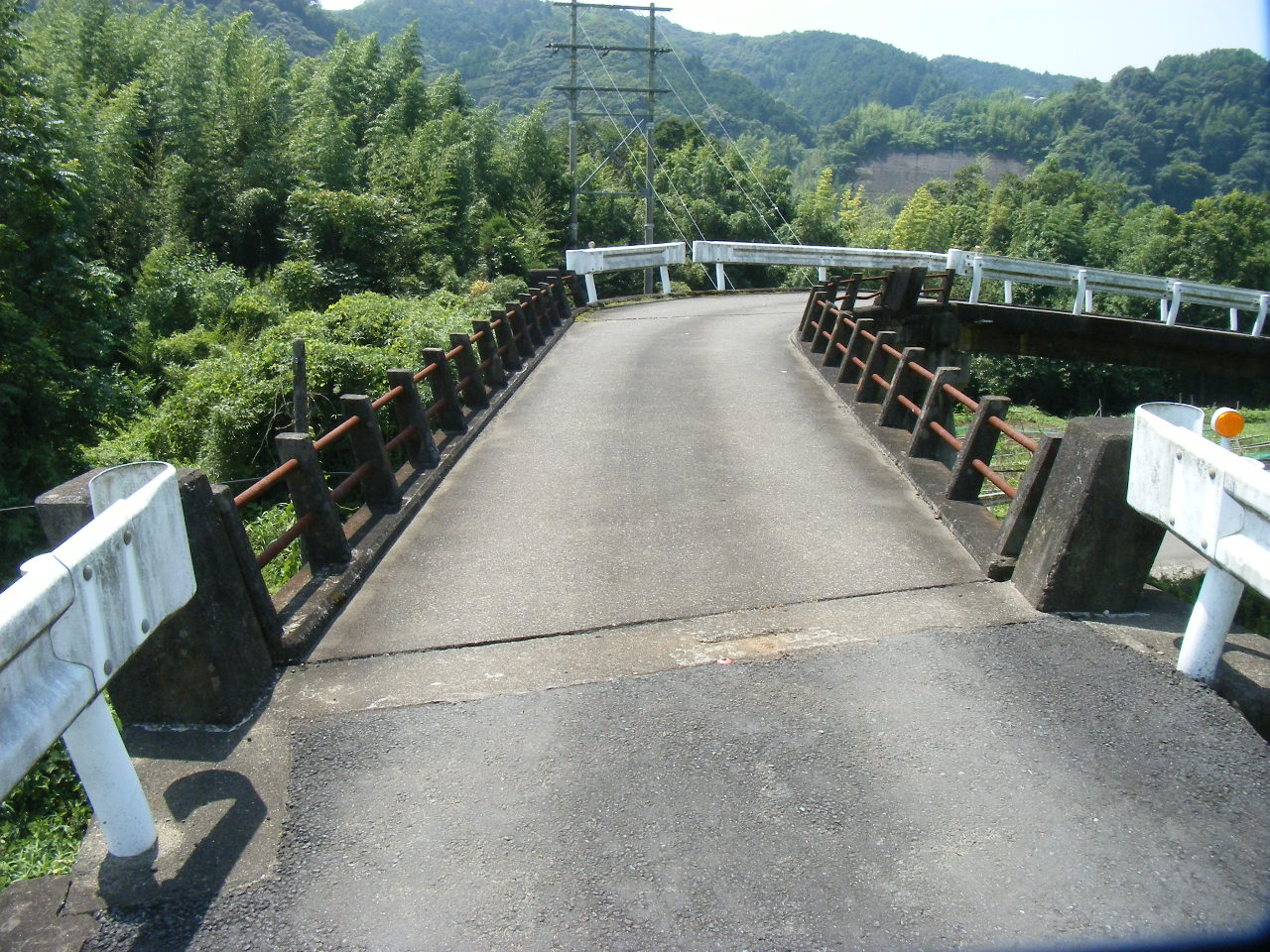 鳥の巣橋設置（拡幅）前状況2