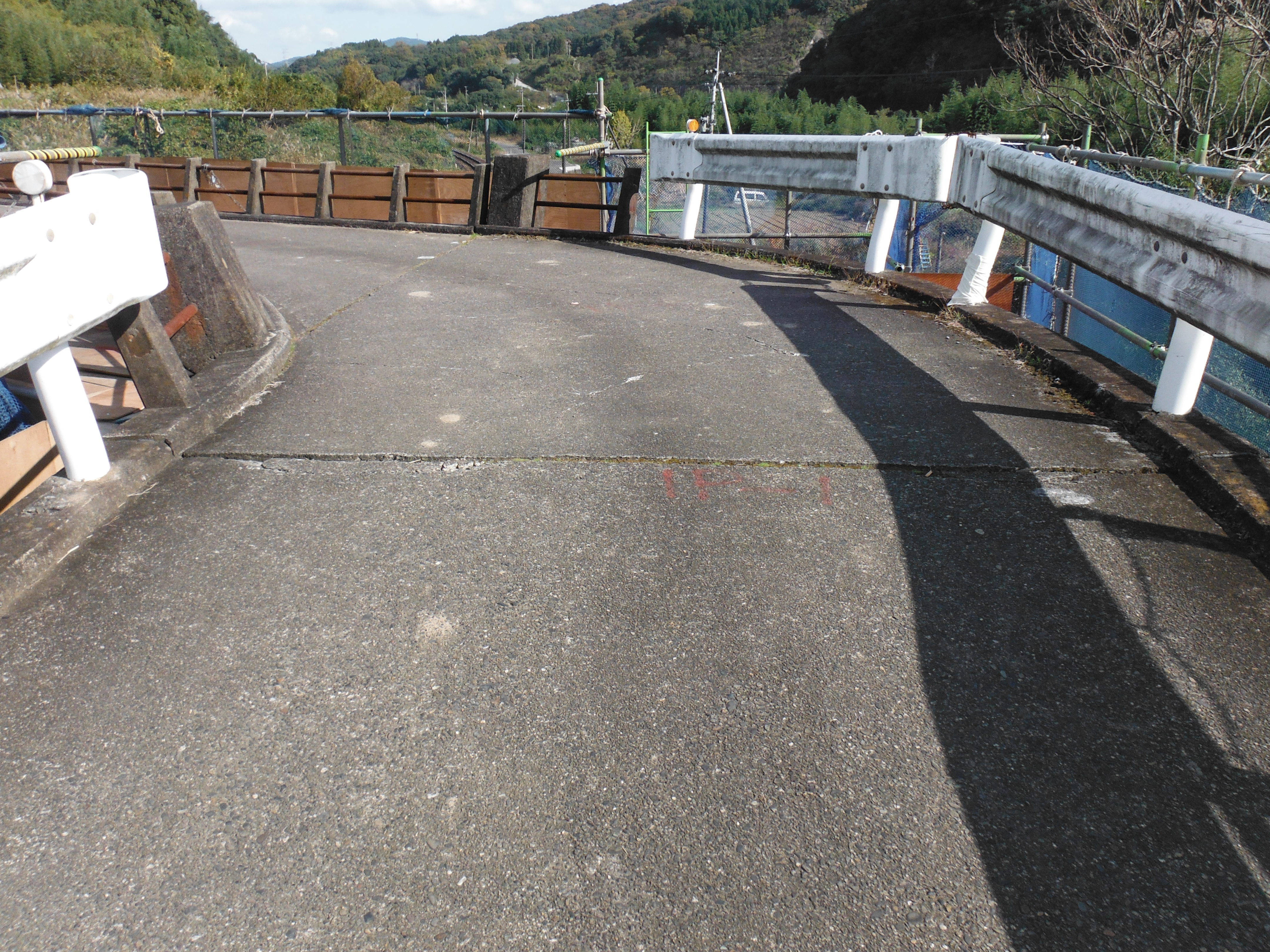 鳥の巣橋設置（拡幅）前状況3